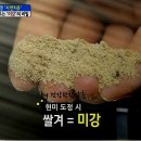 미강요 이미지