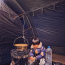 캠프우든브릿지 이미지