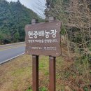 현중배농장 네이버블로그