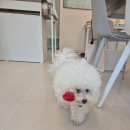 나봄스파 이미지