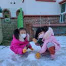 대자연유치원 이미지