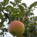 홍보농장 이미지