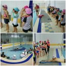 용인대 수영 태권도장 이미지