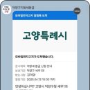 카카오지방세