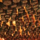 조은찜질사우나 이미지