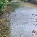 월악산 꽃피는 산골 이미지