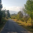 한적농장 이미지