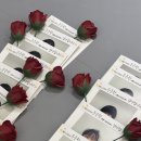 국가대표 인화태권도장 이미지