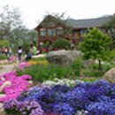 모화1리 이미지