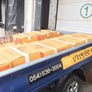 주식회사 올품 이미지