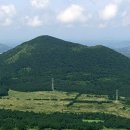 평화로(1) 이미지