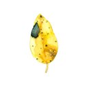 윤희공방 이미지