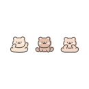 앙쥬레브 애견호텔&애견유치원 송도점 이미지