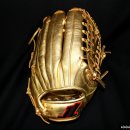 KIA 김원섭선수 기아타이거즈 갤러리 골든 글러브^^ 이미지