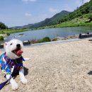 천담경로당 네이버블로그