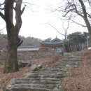 산사죽향