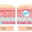 안티안의원