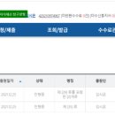 트렌드잇 사업log . 유튜브보고 상표권 출원하기 2- 브랜드명, 로고