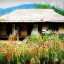 추억이머무르는곳 이미지