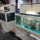 물반고기반 | 마산 합포구 횟집 물반고기반 가성비 회집 현지인 맛집 후기