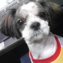 동북고등학교 이미지