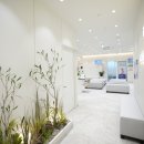 더윈이비인후과의원 이미지