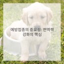 면역방
