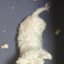 케리부엌 | [일상] 2025년10월, 둘째주 기록