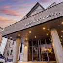 브라운도트2 이미지