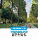 경춘선숲길 이미지