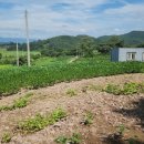 월곡리경로당 이미지