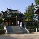 최강수 카카오 검색결과