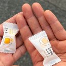 쿄군