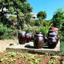 여성제 묘역 및 신도비 이미지