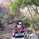 처녀다방 Daum카페