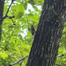 고모산성 주막 | 문경 고모산성 석현성 진남문 문경 가볼 만한 곳