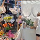 비암팜스테이협동조합 이미지