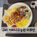 호수농원 | 구리 장자호수공원 근처 애견 동반 가능한 대형카페 커피나무농원 &#34;마루빈&#34; 방문 후기