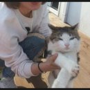 동백해비치펜션 이미지