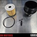 라이온모터스 이미지