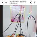 현수합열경락