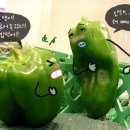 야채이야기