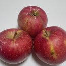 문경거점산지유통센터 이미지