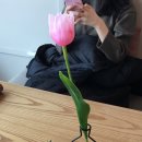 카페니드 - 보령시 염생이길 146-6 | 카페니드