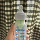 댕편한세상 이미지