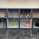 애니멀 하우스 이미지