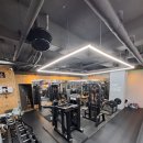 WM 성인 건강을 위한 바른 운동 | 김포복싱 학교 끝나고 바로 운동! 김포고·금파중 학생들이 선택한 김포GO복싱 사우점
