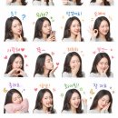 초원동물병원 | [5月] 한국의 스위스(?) | 즉흥을 즐기는 J | 산책의 계절