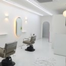 더살롱에스트