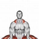 이진호 수 휘트니스 이미지